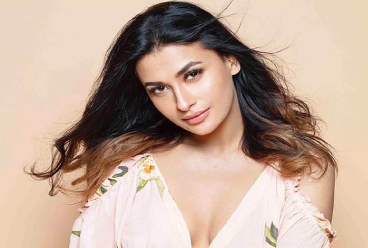 Bigg Boss 13 Contestant Paras Chabbra Ex And TV Actress Pavitra Punia  diagnosed with Dengue