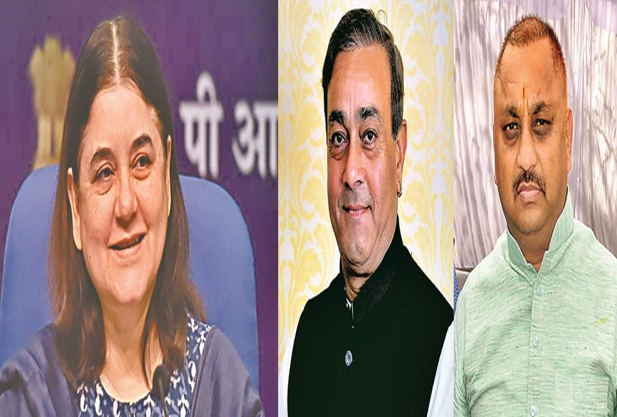 LS Chunav 2019: Sultanpur constituency, Maneka gandhi Fight with congress and Gathbandhan Candidates