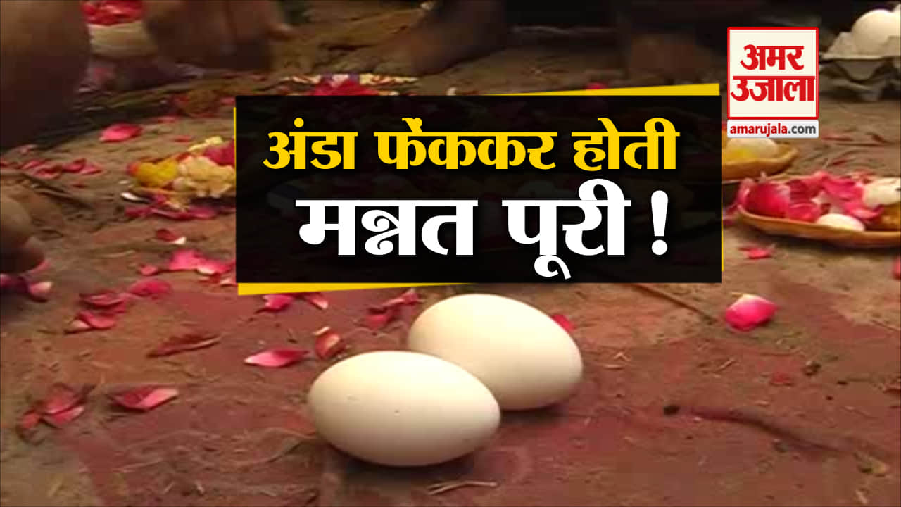 यूपी न्यूज