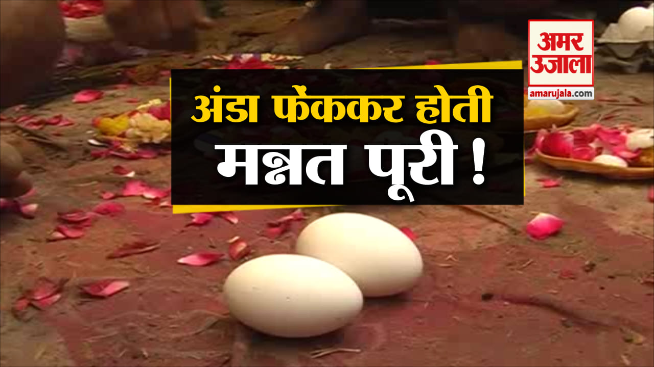 यूपी न्यूज