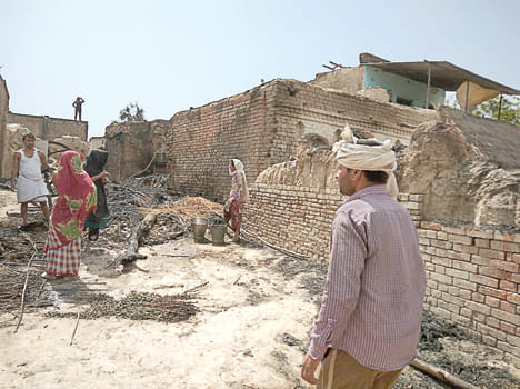 Wasting of fire- Seven houses, two cattle and thousand bigha crops burnt