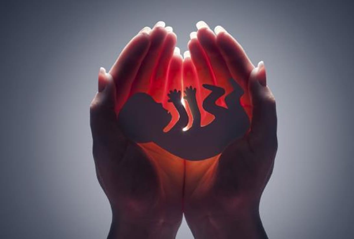 leaked Supreme Court decision on abortion law may poloriz the US socities
