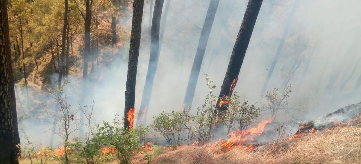 wild fire continue from three days in uttarakhand forest