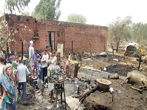 Three houses of ash, 29 cattle burnt alive by wire spark