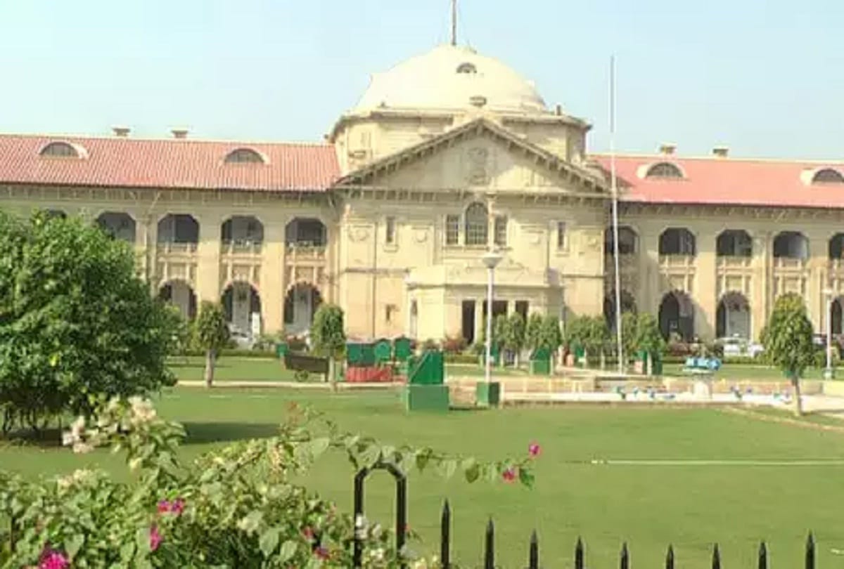 Instead of taking formalities, taking concrete steps, Allahabad University: High Court
