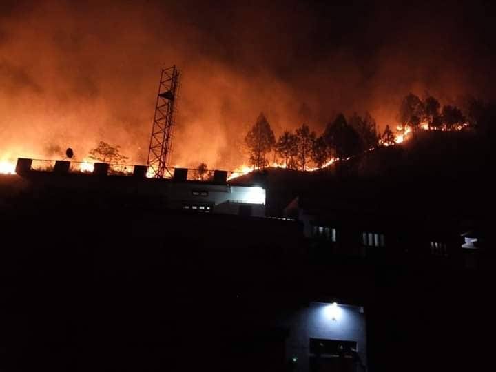 Wildfire in uttarakhand now affecting to colony in many places
