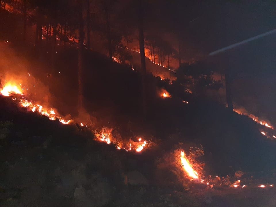 Fire broke out in 116 places of uttarakhand forest area in one day