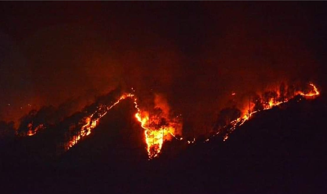 Wildfire in uttarakhand kumaon mountain area in summers 2019