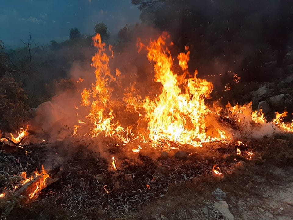 uttarakhand forest wildfire out of control