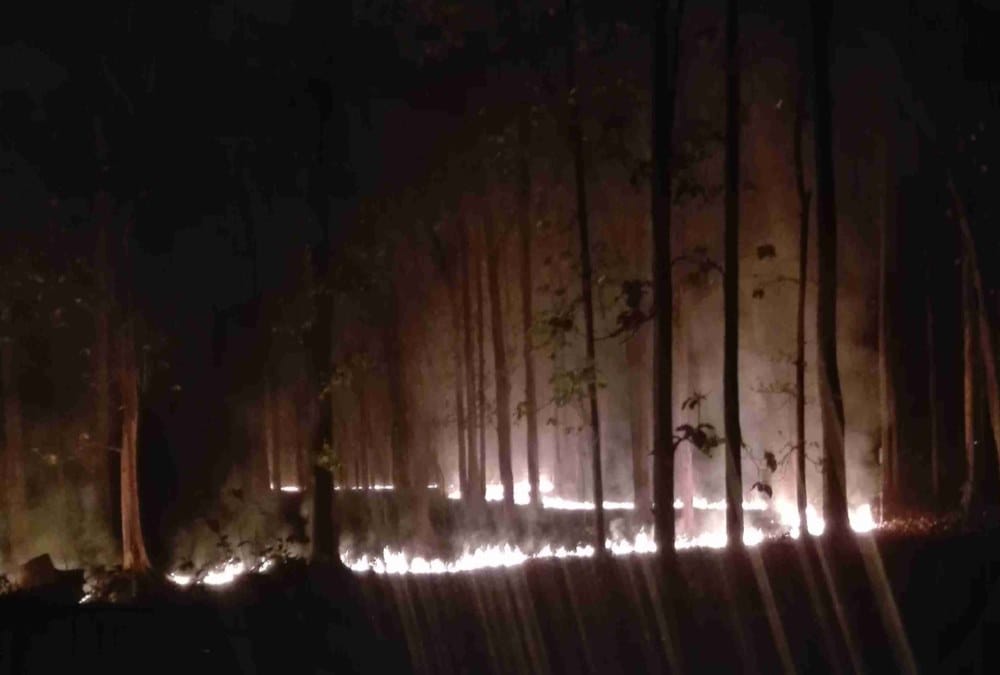 wildfire massive devastation in uttarakhand