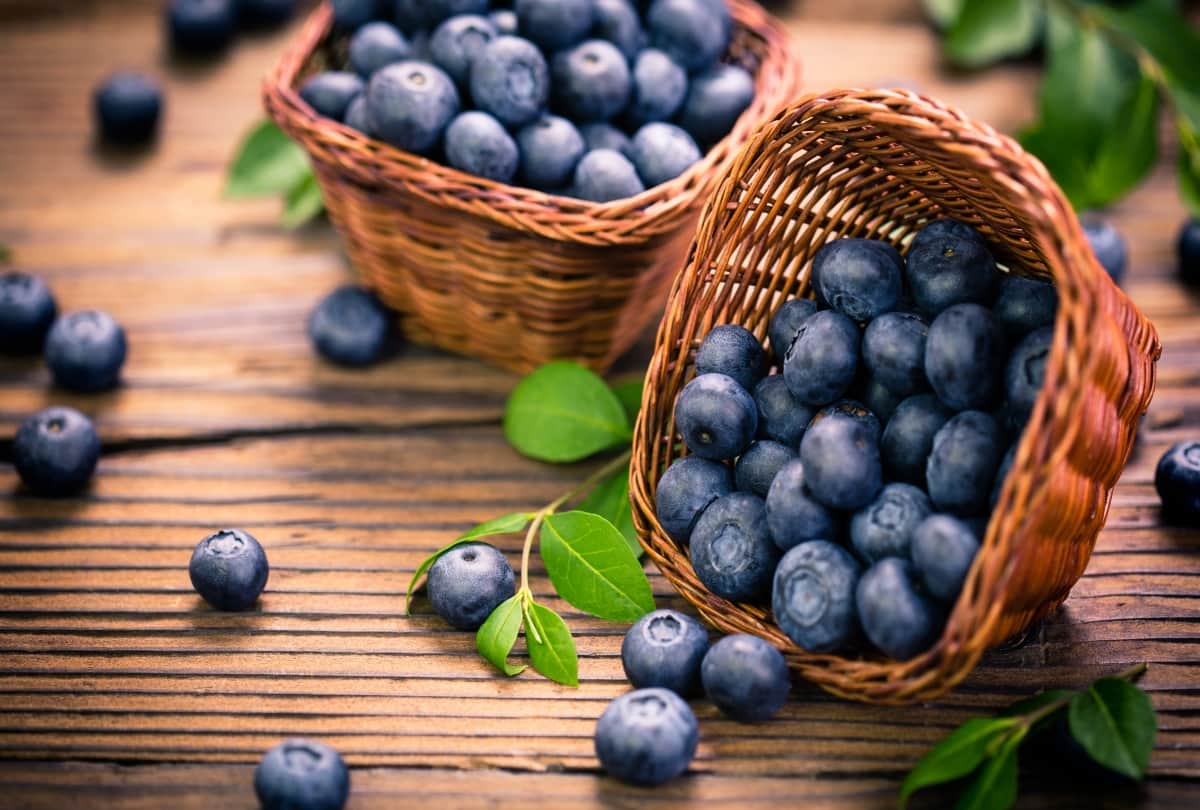 no sunscreen can also protect your skin in heat use healthy food in diet