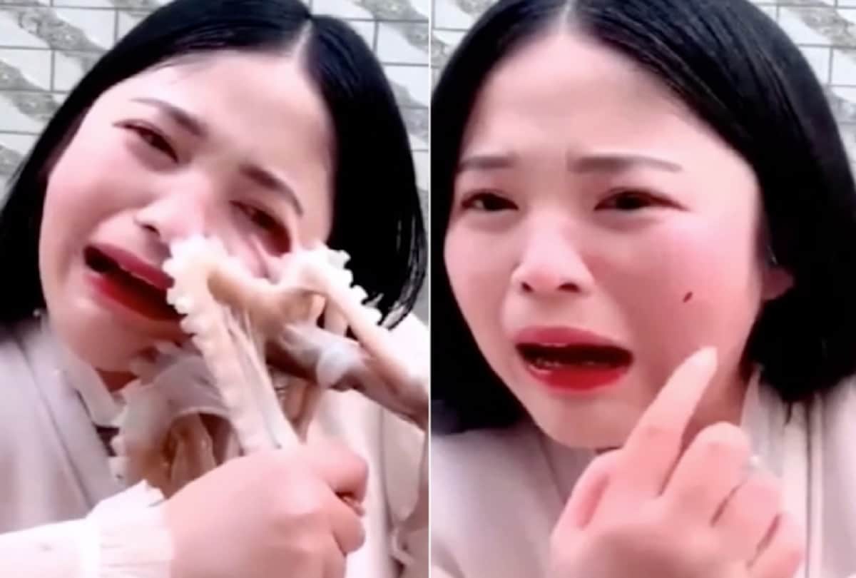 octopus attacks woman blogger that tried to eat it alive on live stream Video Viral