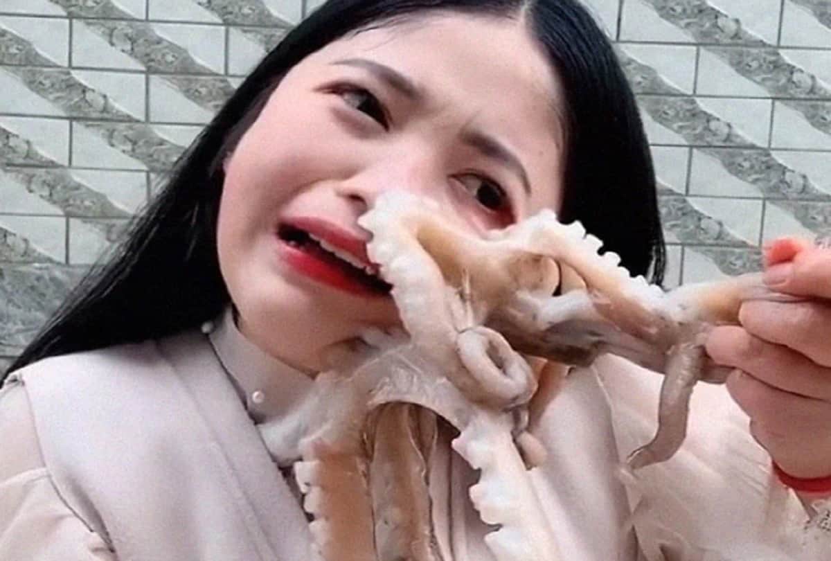 octopus attacks woman blogger that tried to eat it alive on live stream Video Viral