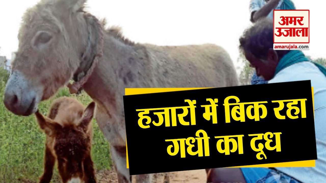 प्रतीकात्मक तस्वीर