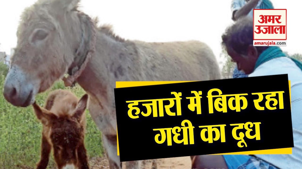 प्रतीकात्मक तस्वीर