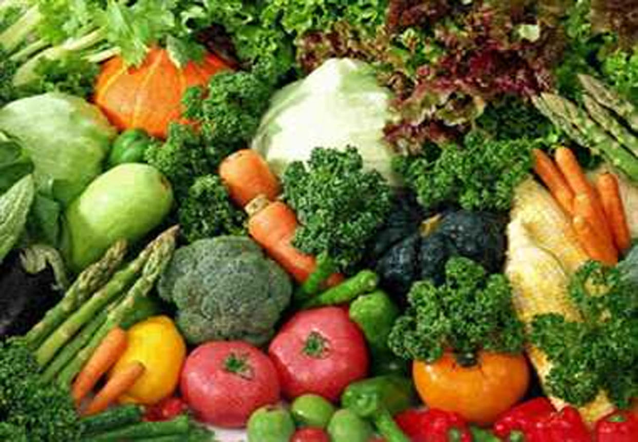 technique of taiwan vegetable farming will be used in India