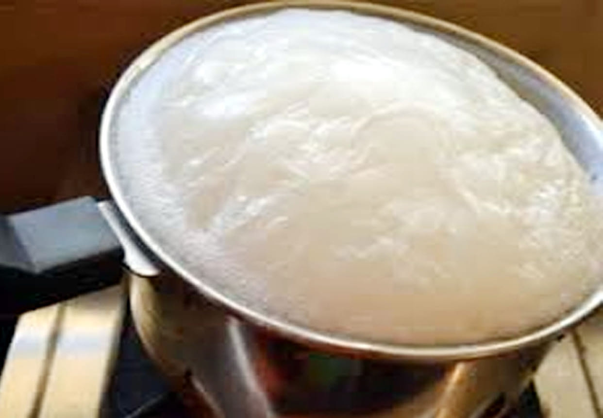 lizard fell in milk, four member of family get ill after drinking it