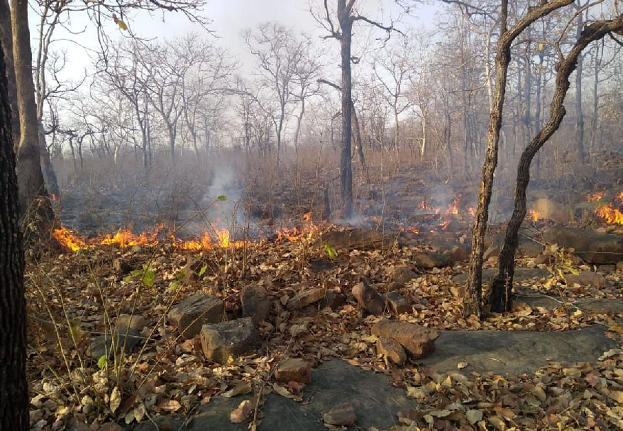 Ranipur Wildlife Sanctuary caught fire in chitrakoot