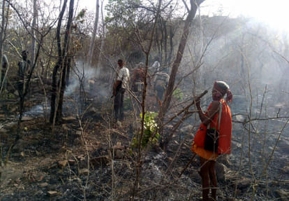 Ranipur Wildlife Sanctuary caught fire in chitrakoot