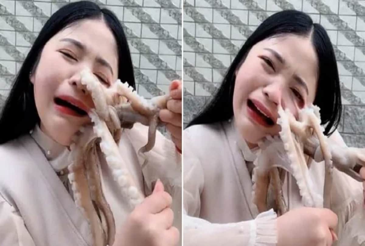 octopus attacks woman blogger that tried to eat it alive on live stream Video Viral