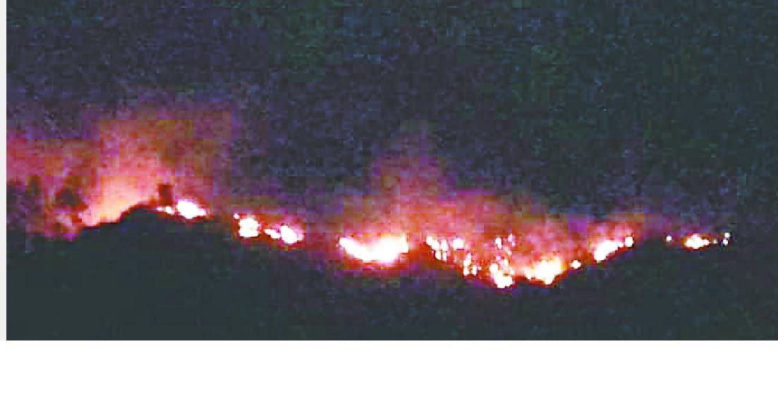 Fire burns 55 hectares of forest so far