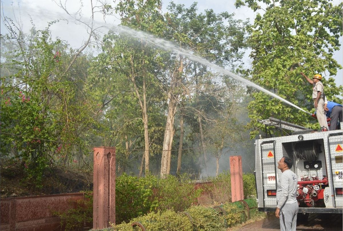 fire in the bushes near the western gate of Taj Mahal