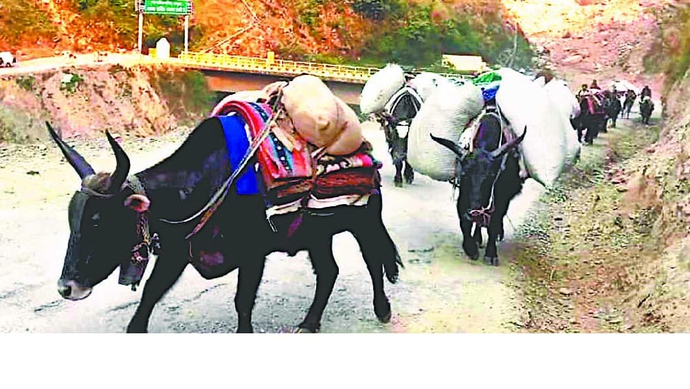 People returning from Vyas and 21 villages of Darma Valley