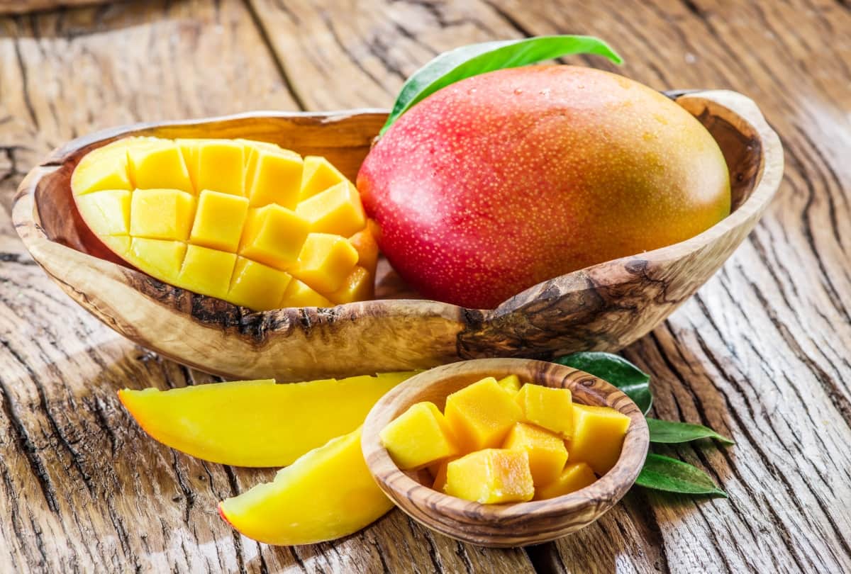 booking started for noorjahan mango price rs 500