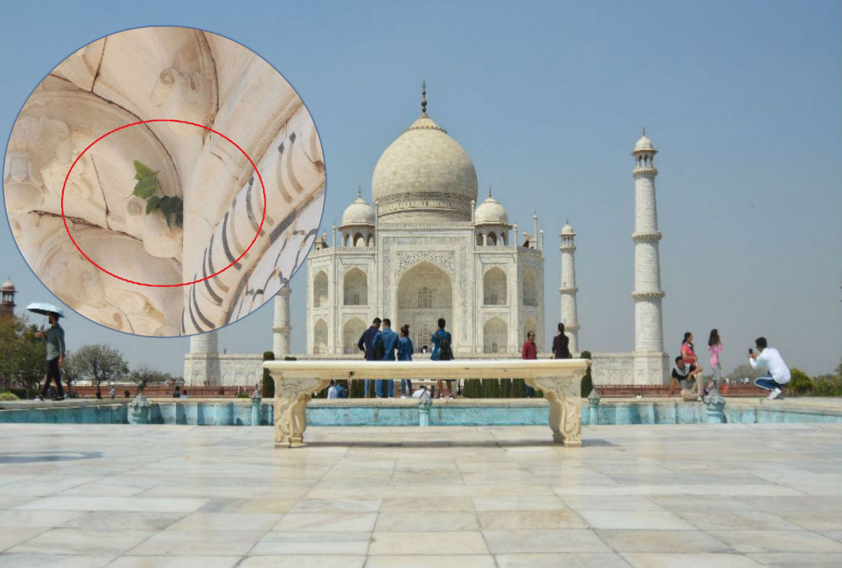 Breastfeeding Room open At Taj Mahal