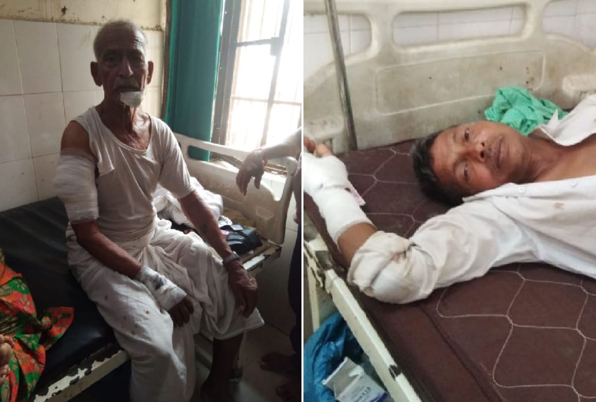 leopard attacked on four villagers, injured in bahraich
