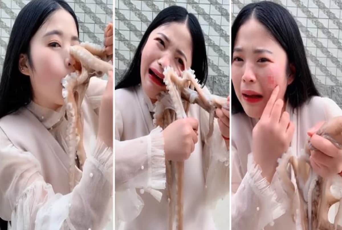 octopus attacks woman blogger that tried to eat it alive on live stream Video Viral