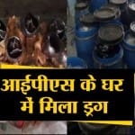 हेडलाइंस
