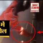 स्टंट