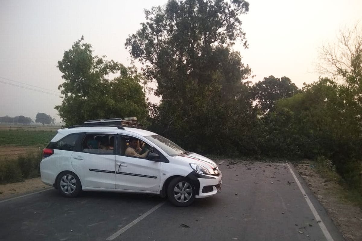 एटा रोड पर गिरा आम का पेड़, यातायात अवरुद्ध, फंसे रहे वाहन
