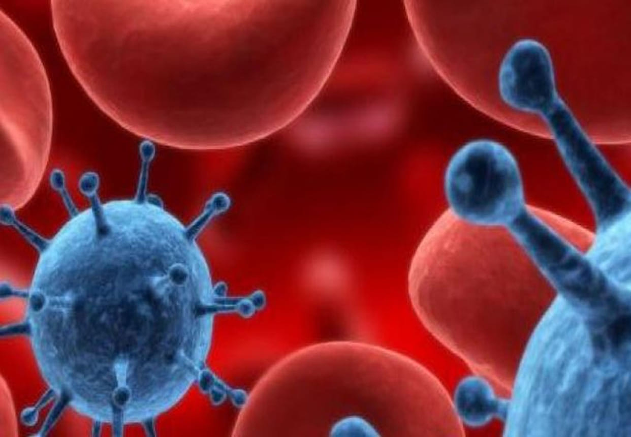 hidden cancer will be detected by Blood of the body