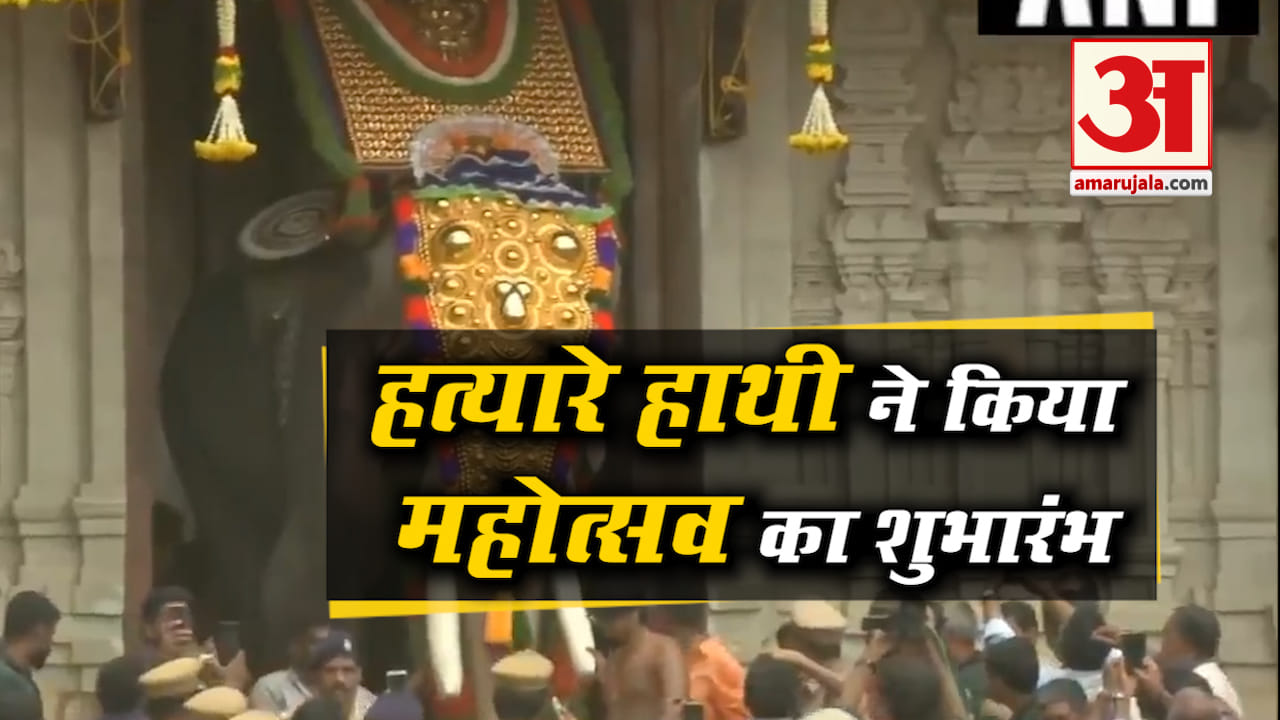 हाथी