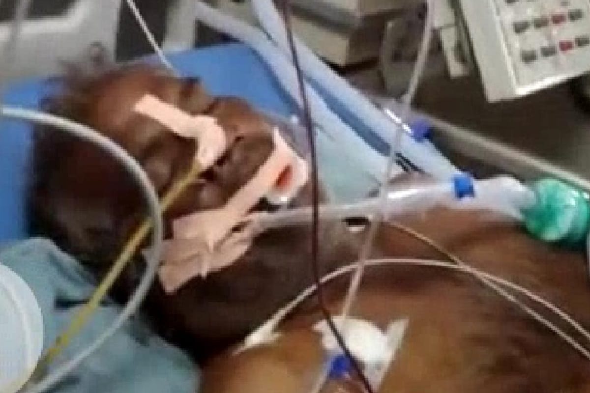 Crooks shot a farmer in Saharanpur at Uttar Pradesh