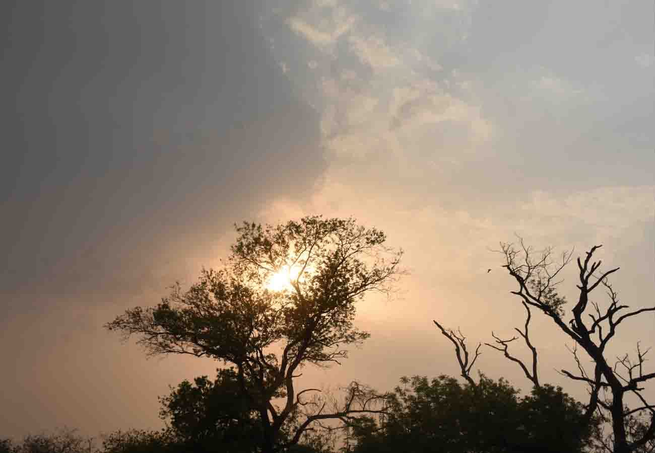 weather update today in UP: Monsoon in up, read weather department prediction