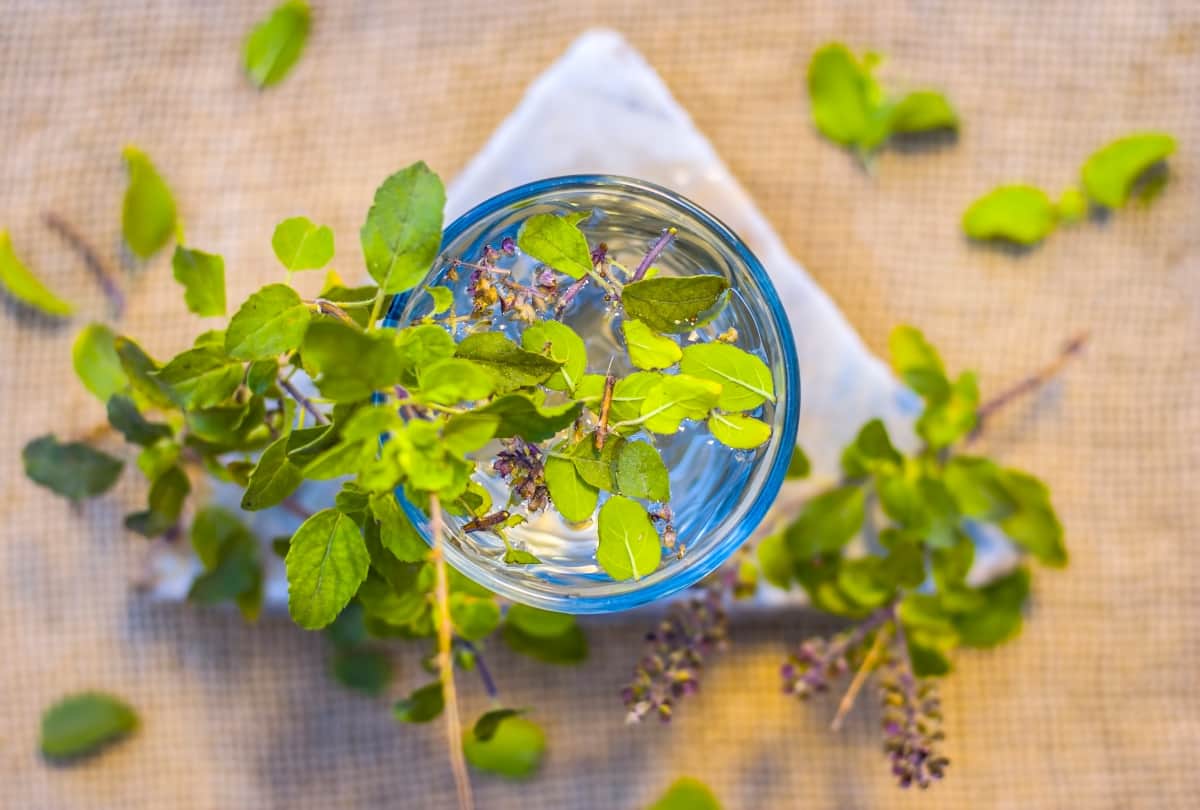 Coronavirus Anti viral foods to build immunity and keep diseases flu away