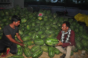 seasnal food came in market