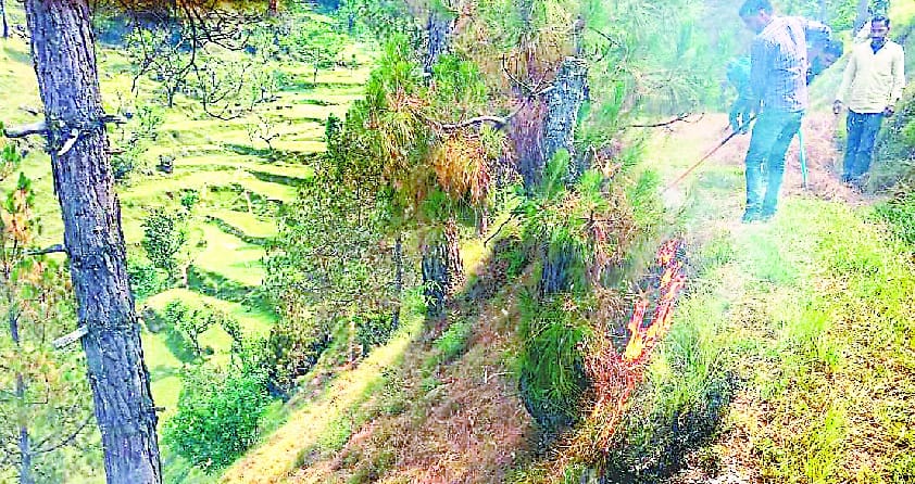 fire in the forest of rakholi