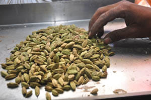 small eliechi rate incease in market