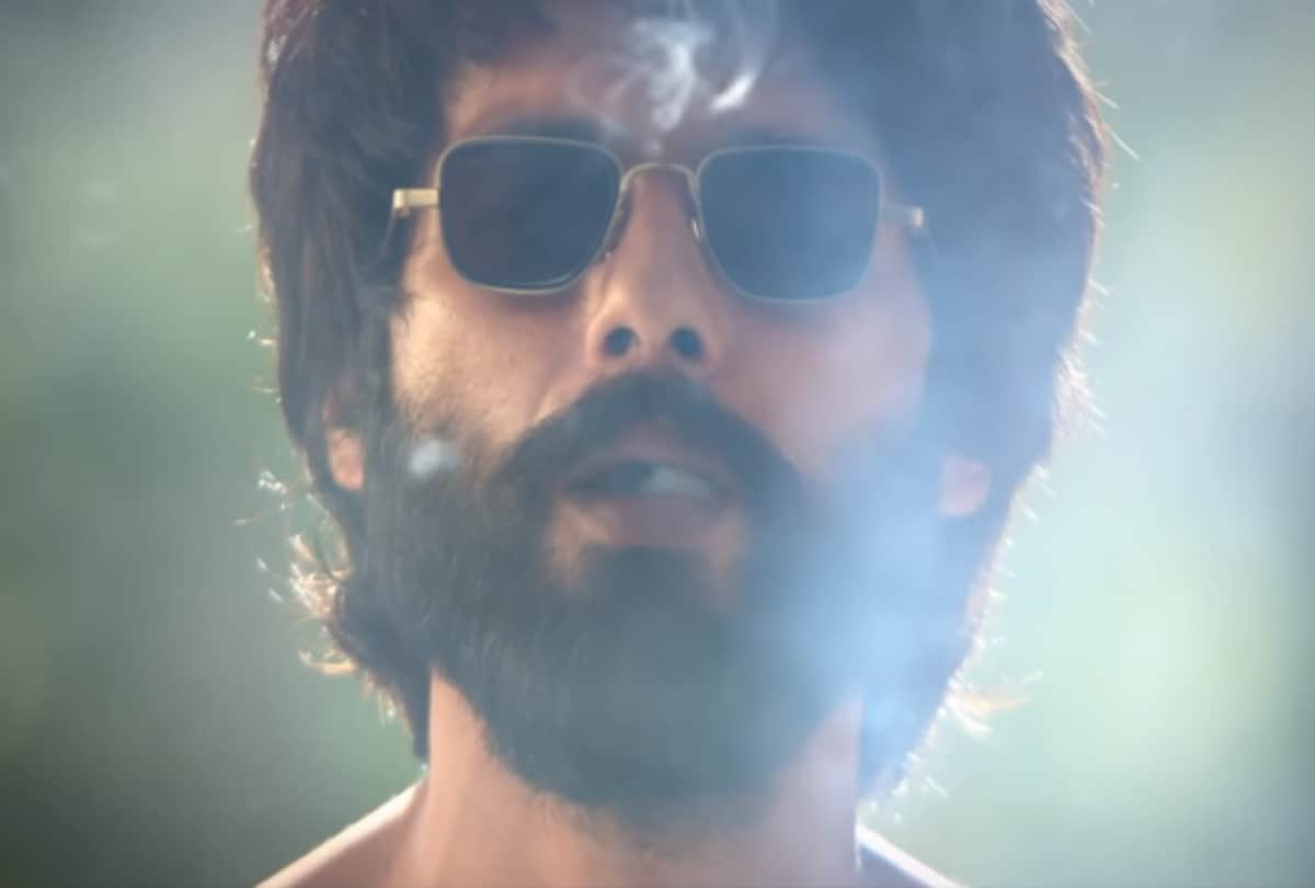 shahid kapoor film kabir singh box office collection day 1