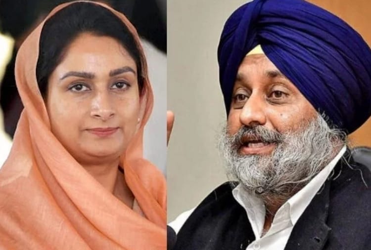 Lok sabha elections 2019, All candidates of Congress, BJP and SAD are Millionaire in Punjab