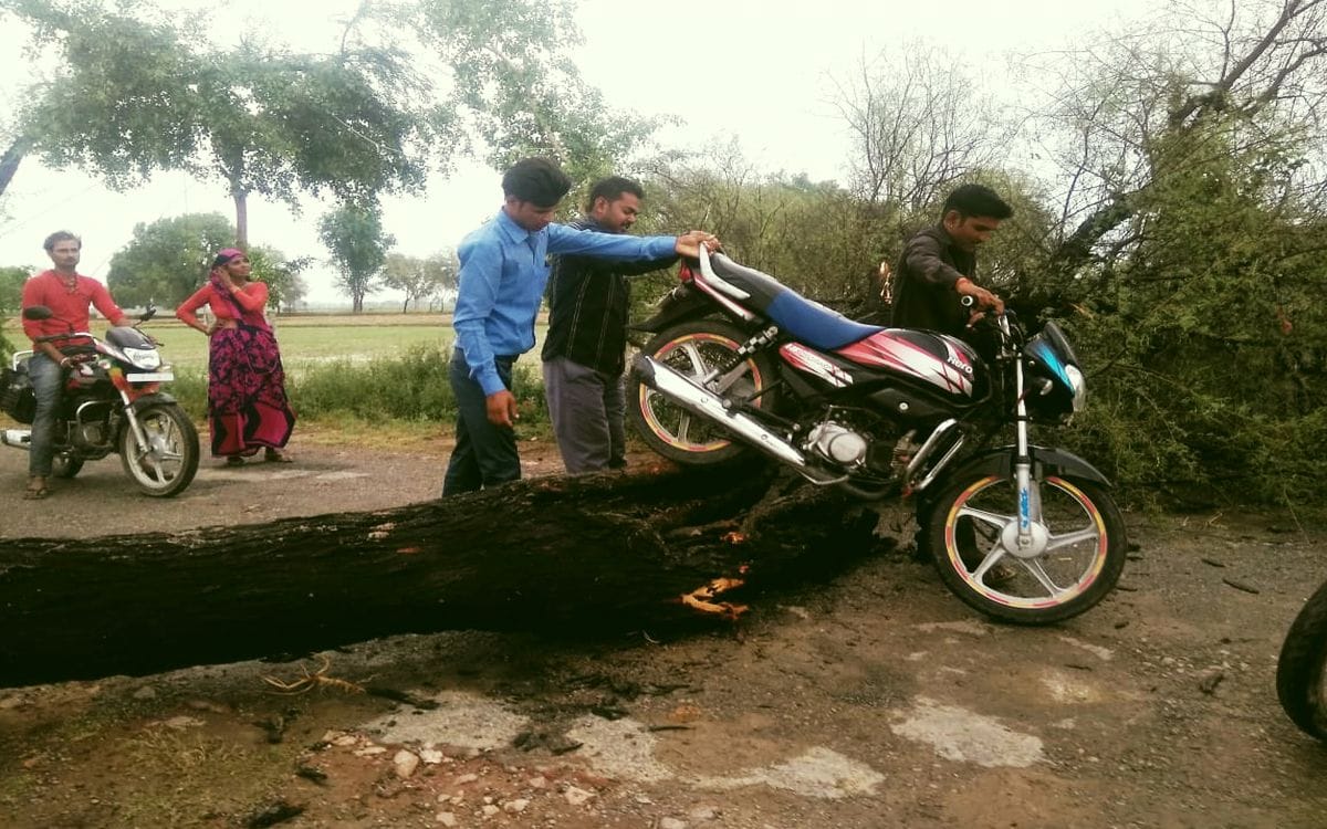 आंधी-बारिश से उखड़े हार्डिंग्स, पेड़