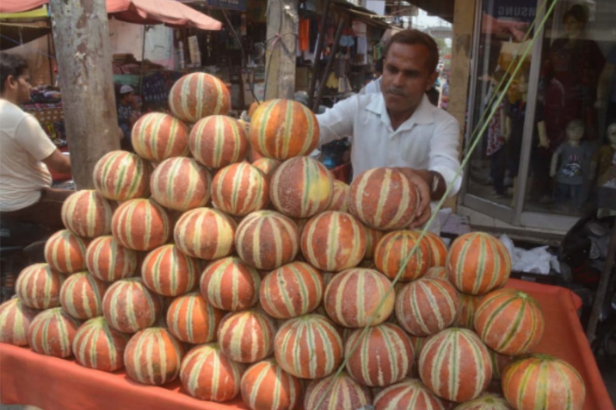 Baghpat famous muskmelon is about to lost from fruit market