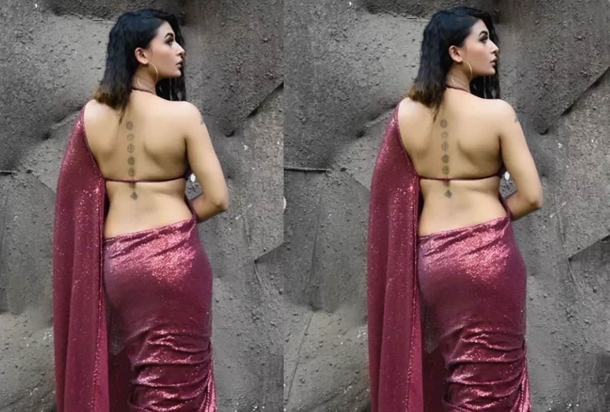 Bigg Boss 13 Contestant Paras Chabbra Ex And TV Actress Pavitra Punia  diagnosed with Dengue