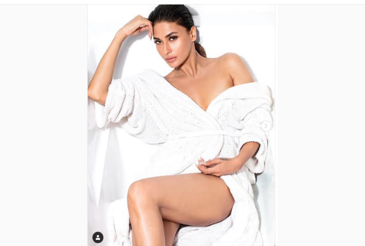 Bigg Boss 13 Contestant Paras Chabbra Ex And TV Actress Pavitra Punia  diagnosed with Dengue