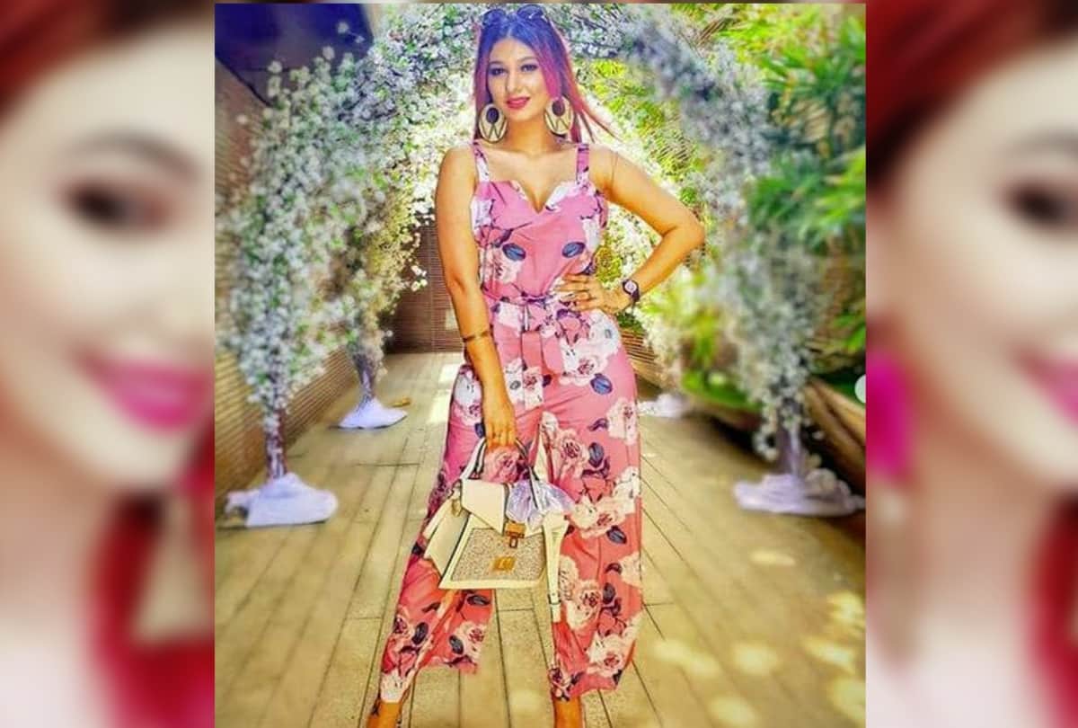 Bigg Boss 12 contestant Jasleen Matharu colored her hair