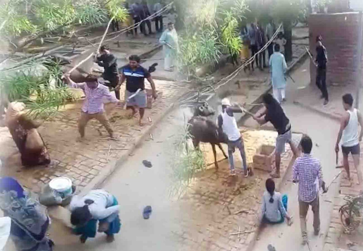 crime against women in Etawah, 8 people injured